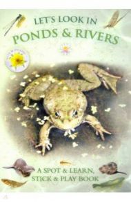 Let's Look In Ponds & Rivers (+ 30 stickers) / Pinnington Andrea