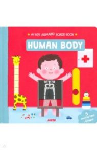 Human Body