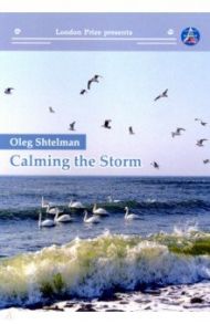 Calming the storm / Shtelman Oleg