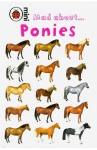 Mad about Ponies / Ransford Sandy