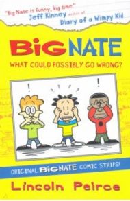 Big Nate Compilat. 1 What Could Possibly Go Wrong? / Peirce Lincoln