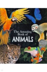 The Amazing Book of Animals / Leach Michael, Lland Meriel