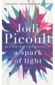 A Spark of Light / Picoult Jodi