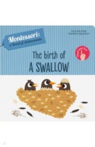 The Birth of a Swallow / Piroddi Chiara