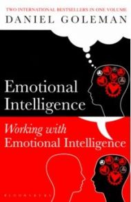 Emotional Intelligence / Goleman Daniel