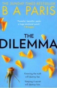 The Dilemma / Paris B. A.