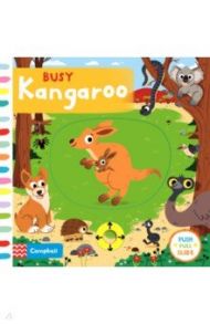 Busy Kangaroo