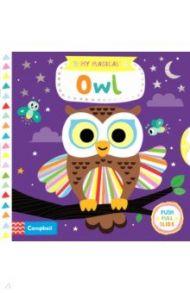 My Magical Owl