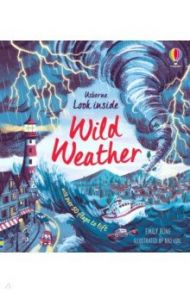 Look Inside Wild Weather / Bone Emily