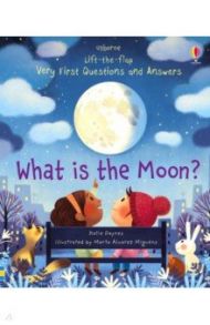 What is the Moon? / Daynes Katie