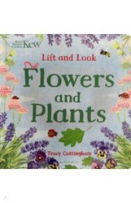 Lift and Look Flowers and Plants / Cottingham Tracy