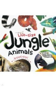 Life-size: Jungle Animals