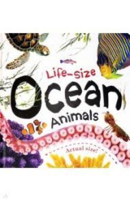 Life-size: Ocean Animals