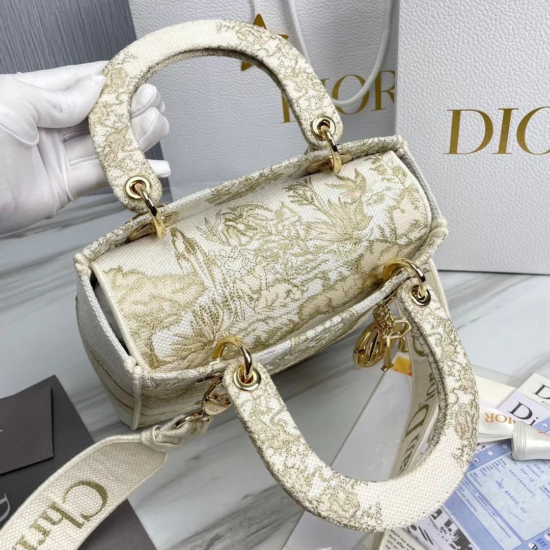 Lady Dior 24 cm