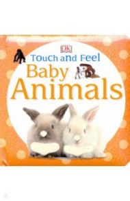 Baby Animals