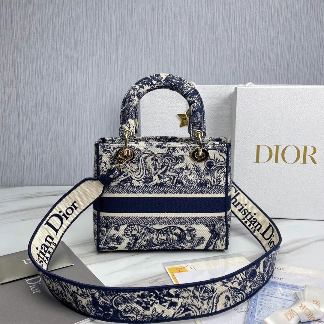 Lady Dior 24 cm