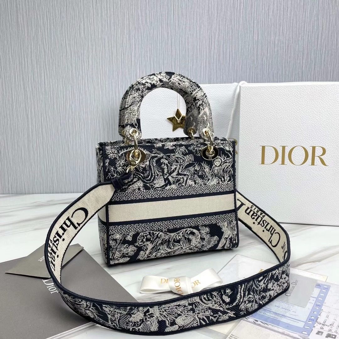 Lady Dior 24 cm