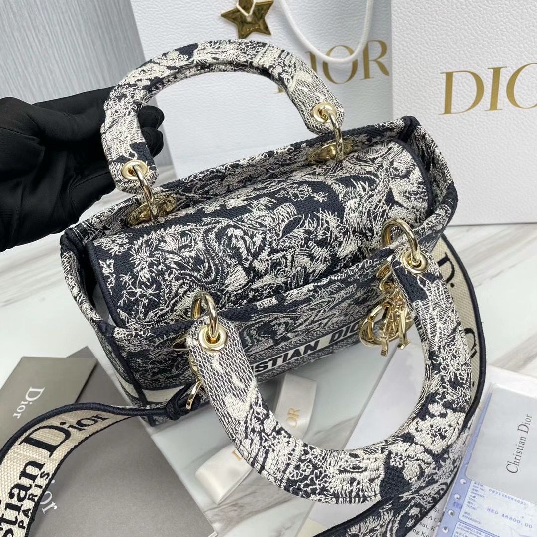 Lady Dior 24 cm