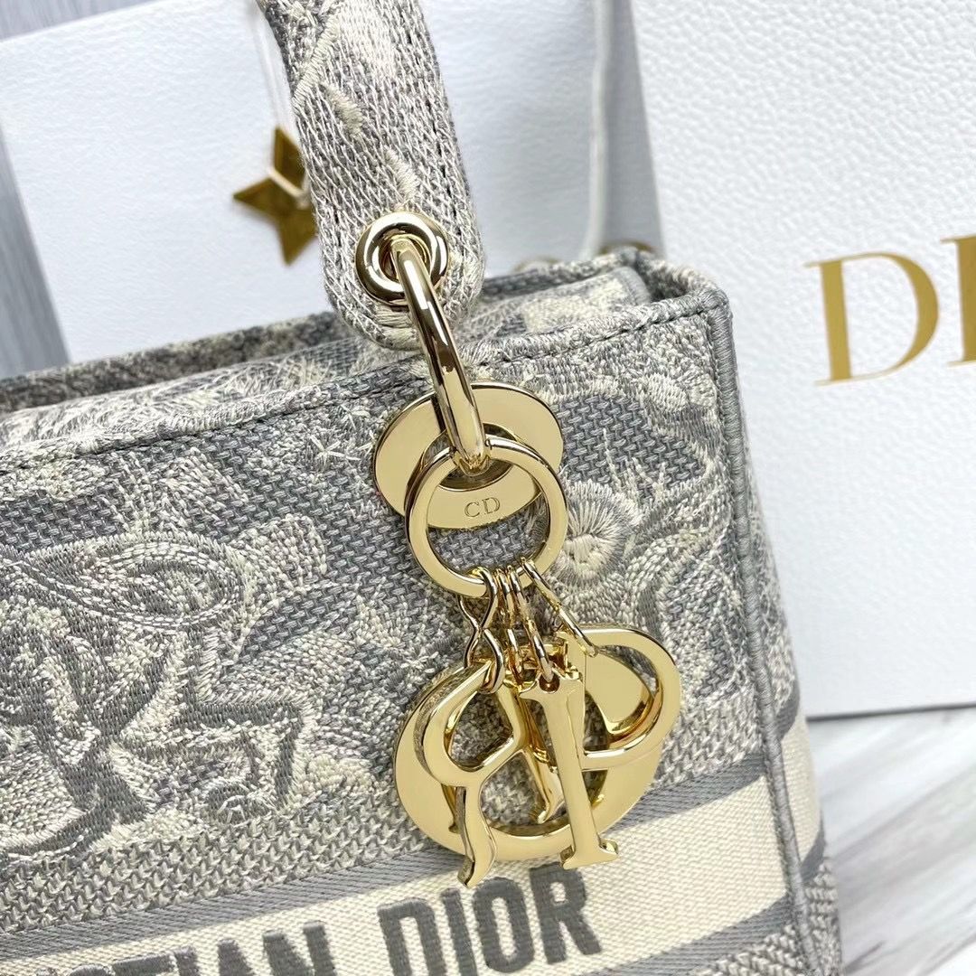 Lady Dior 24 cm