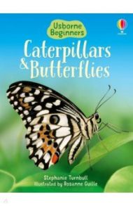 Caterpillars and Butterflies / Turnbull Stepanie