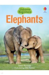 Elephants / Maclaine James