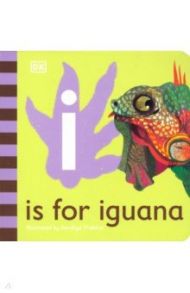 I is for Iguana