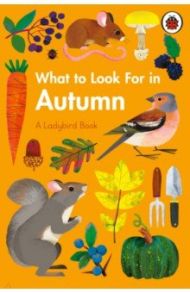 What to Look For in Autumn / Jenner Elizabeth