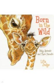 Born in the Wild. Baby Animals & Their Parents / Judge Lita