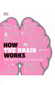 How the Brain Works