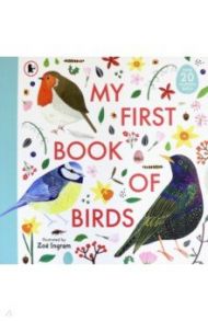 My First Book of Birds / Ingram Zoe