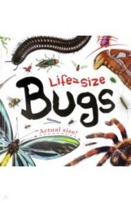 Life-size. Bugs