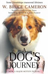 A Dog's Journey / Cameron W. Bruce