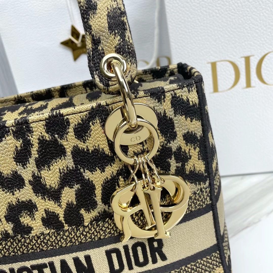 Lady Dior 24 cm