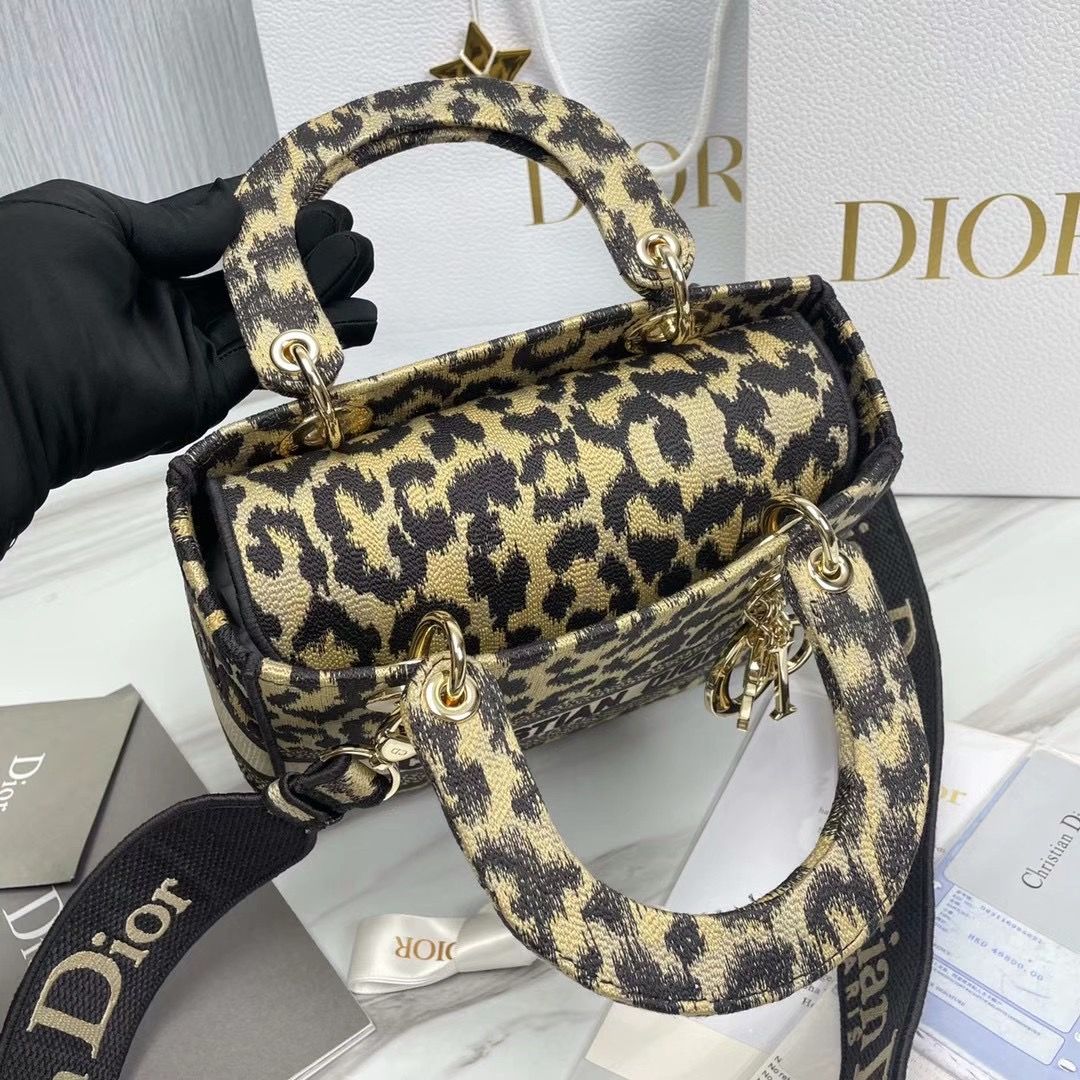 Lady Dior 24 cm