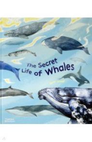 The Secret Life of Whales / Ortega Rena