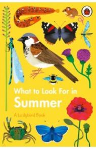 What to Look For in Summer / Jenner Elizabeth