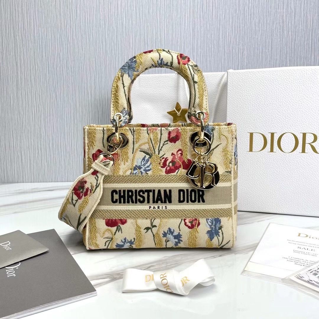 Lady Dior 24 cm