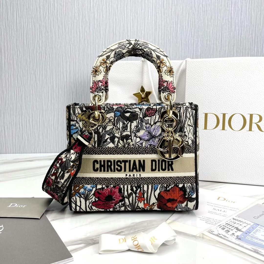 Lady Dior 24 cm