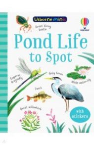 Pond Life to Spot / Nolan Kate