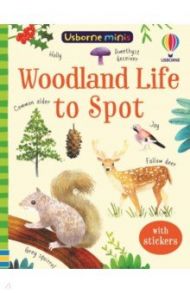 Woodland Life to Spot / Nolan Kate