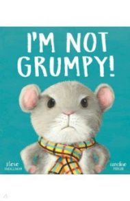 I’m Not Grumpy! / Smallman Steve