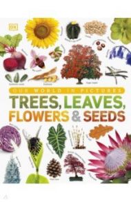 Trees, Leaves, Flowers and Seeds / Jose Sarah