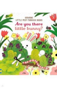 Are you there little Bunny? / Taplin Sam