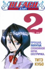 Bleach. Книга 2. Прощай, попугай. Спокойной ночи / Кубо Тайто