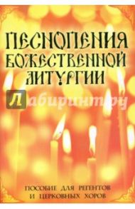 Песнопения Божественной Литургии. Пособие для регентов и церковных хоров