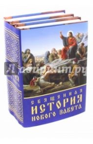 Евангельская история. В трех книгах / Протоиерей Павел Матвеевский