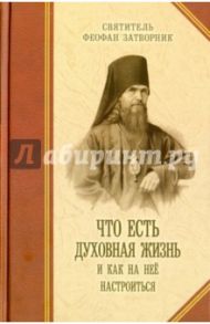 Что есть духовная жизнь и как на нее настроиться? Письма / Святитель Феофан Затворник