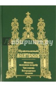 Православный молитвослов. Молитвы на всякую потребу. Три канона. Богородичное правило
