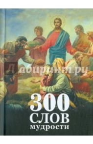 300 слов мудрости. Изречения подвижников Православной Церкви о том, как нам жить, о нашем спасении..