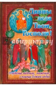 Дивны дела твои, Господи: о чудесных видениях, знамениях, о помощи Божией людям